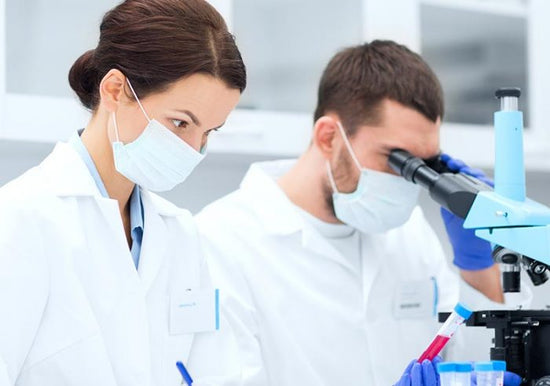 Female and male lab techs in white coats with face masks, male looking into microscope