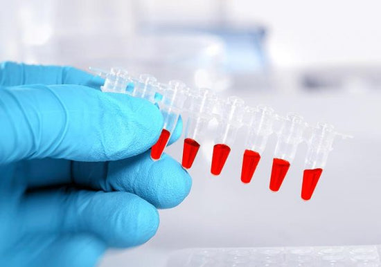 Human hand with blue latex gloves holding interconnected vials of red formula